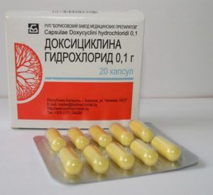 Хламидиоз при беременности: симптомы и признаки, причины возникновения инфекции и последствия заражения, схема лечения