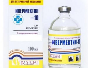 Лечение дирофиляриоза у человека: симптомы и клинические проявления, терапия народными средствами и препаратами, профилактика