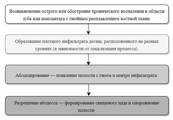 Стадії розвитку абсцесу Стадии развития абсцесса 4