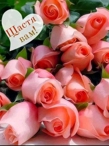 Привітати з Василем до сліз