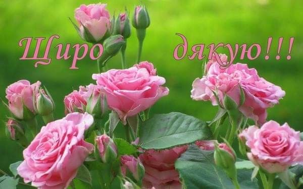 Подякувати за привітання з днем народження своїми словами, у прозі