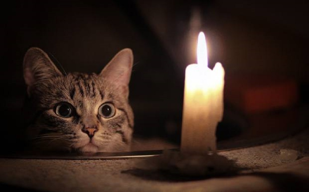 Пять альтернативных источников света на случай отключения энергии