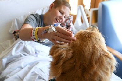 Израильский медицинский центр принял на работу собаку